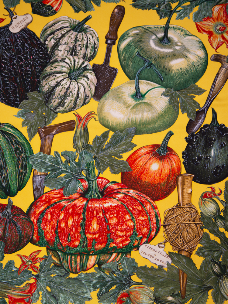 Citrouilles et Coloquintes&
