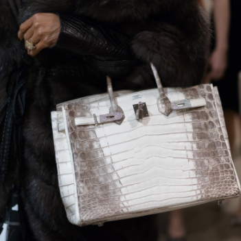 HERMES BIRKIN: A JOURNEY THROUGH THE HIMALAYA