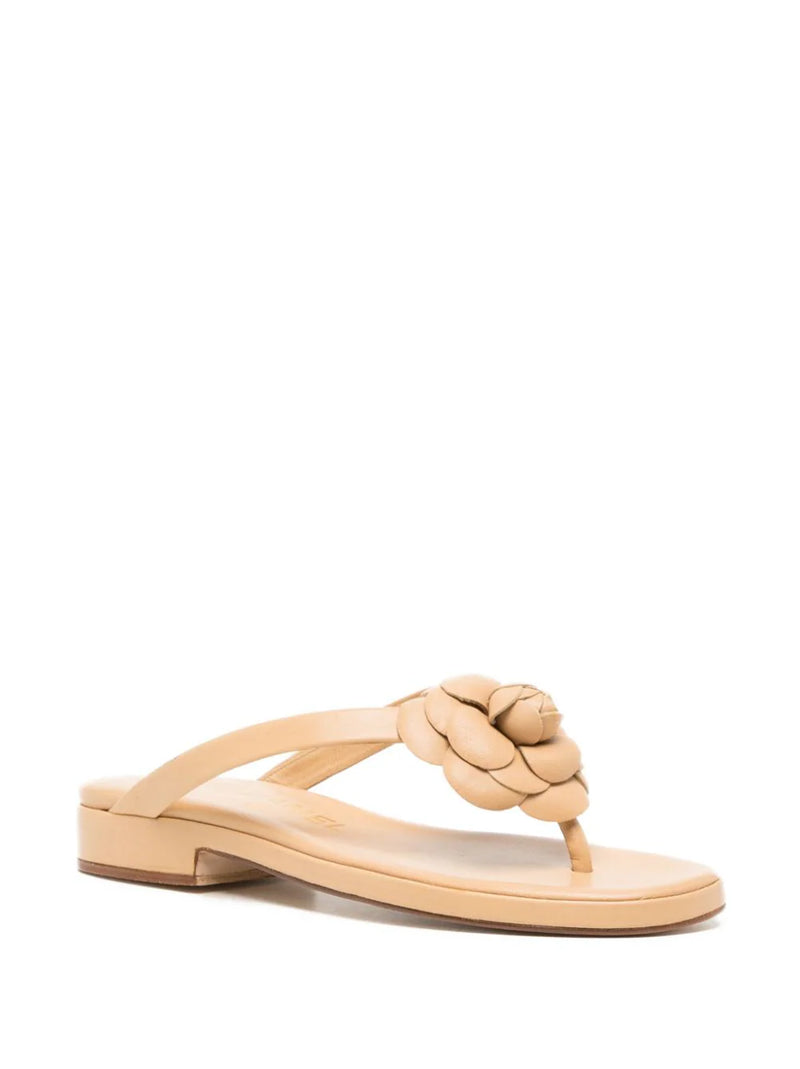 Camelia Flip Flops