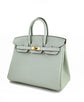 Birkin 25 Gris Neve Togo GHW