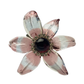 Chanel 1998 Gripoix glass flower brooch with vibrant petals and intricate design, perfect for elegant accessories.