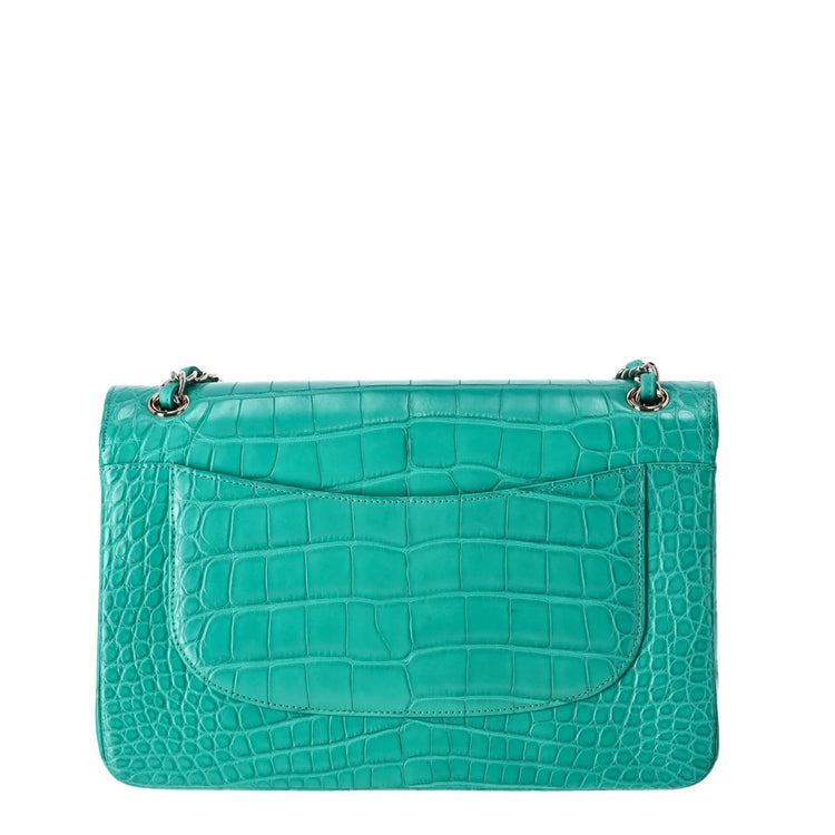 Chanel Jumbo Double Flap Bag in turquoise green exotic leather with silver-tone CC turn-lock closure, double flap silhouette, and interwoven chain-and-leather shoulder straps.