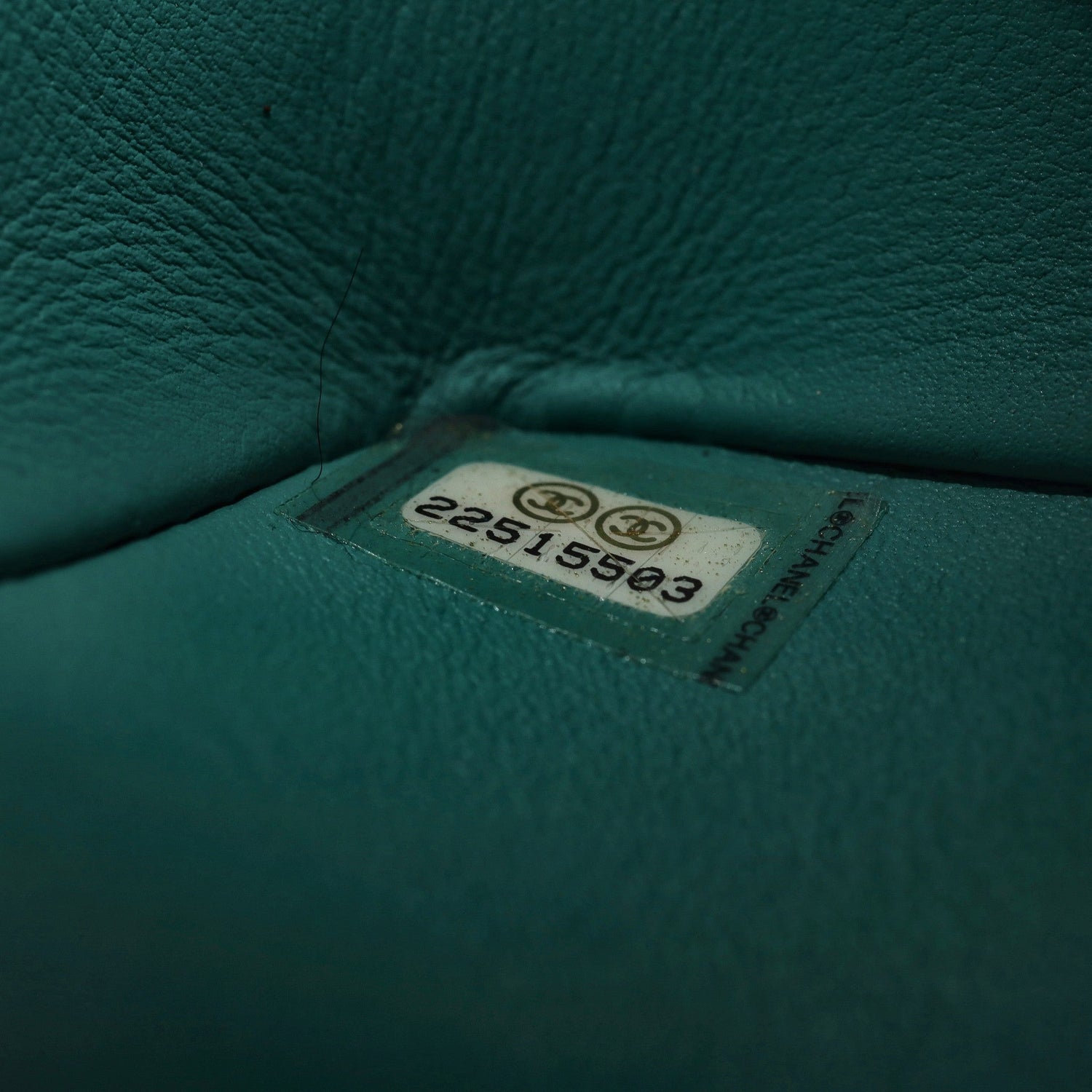 Chanel Jumbo Double Flap Bag in turquoise green exotic leather with silver-tone CC turn-lock closure, double flap silhouette, and interwoven chain-and-leather shoulder straps.