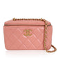 Vanity Case Pink Leather Handbag