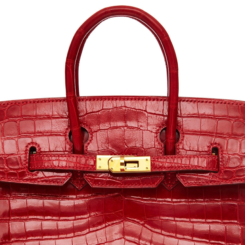 Hermes Birkin 25cm Shiny Exotic Lisse