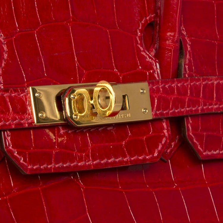 Hermes Birkin 25cm Shiny Exotic Lisse
