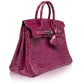 Hermès Fuschia Exotic 25cm Birkin Bag